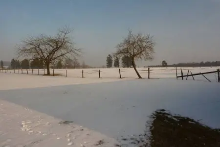 Les Pâturages 1 - Gîte 14 pers. avec sauna : photo 26