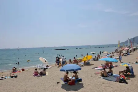 Villa Aramis, Villa à Le Muy avec piscine et lac - Photo 31