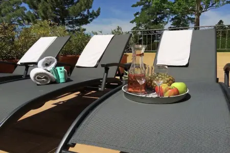 Villa Aramis, Villa à Le Muy avec piscine et lac - Photo 38