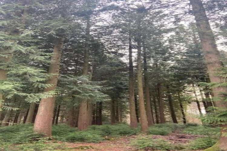 Maison Abri Vert à Oignies, poêle à bois et nature - Photo 11