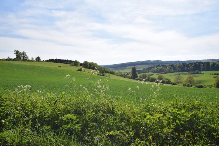 Li Saboti : maison 4 chambres à Roumont, 100 m de la forêt - Photo 29