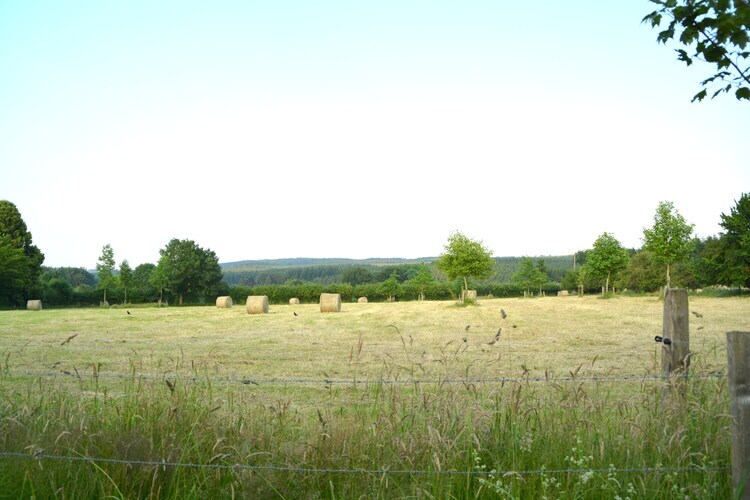 Li Saboti : maison 4 chambres à Roumont, 100 m de la forêt - Photo 39