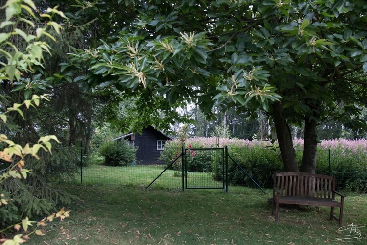 La Pierraille, maison 4 personnes avec jardin à Froidchapelle - Photo 9
