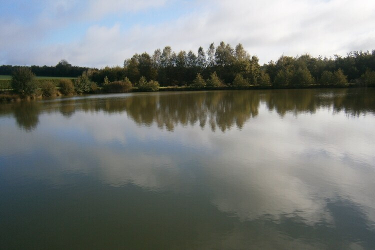Gite la Belette, maison 7 chambres Cul des Sarts - Photo 39