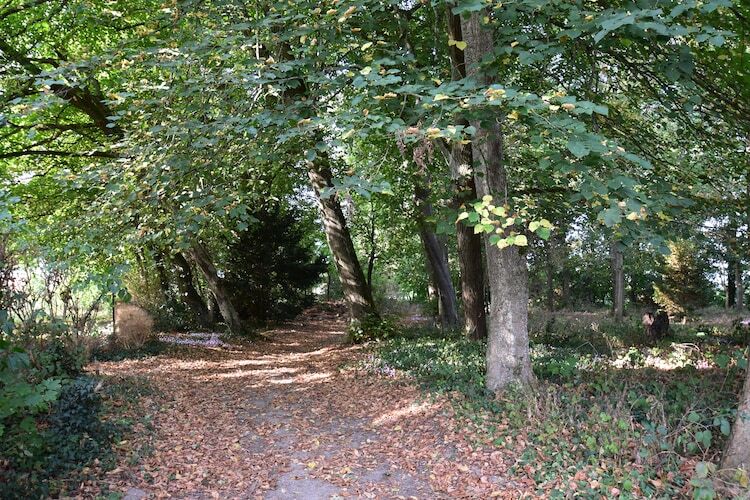 Château des Lambeys – Maison 15 pers. & piscine - Photo 37