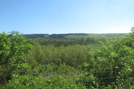 Le Trou du Loup, gîte 4 pers. à 100 m de la forêt : photo 22