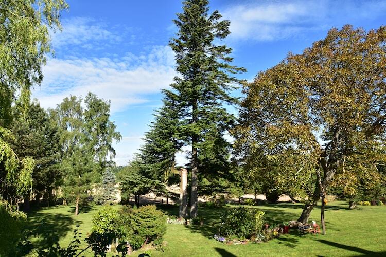 Maison 2 chambres avec verger à Saint-Sauveur-Lendelin - Photo 30