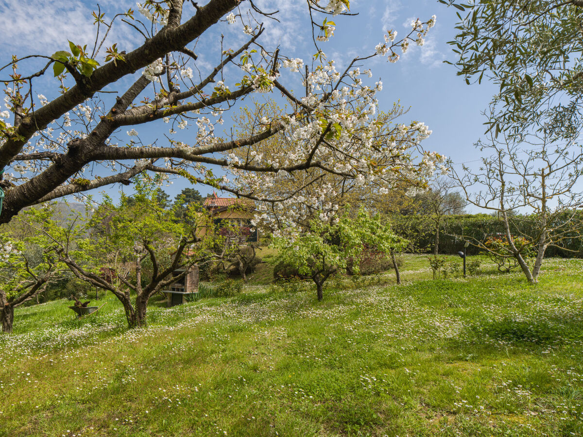 Casa Gianna – Villa 3 étages, 7 pers., jardin 2000m² - Photo 44