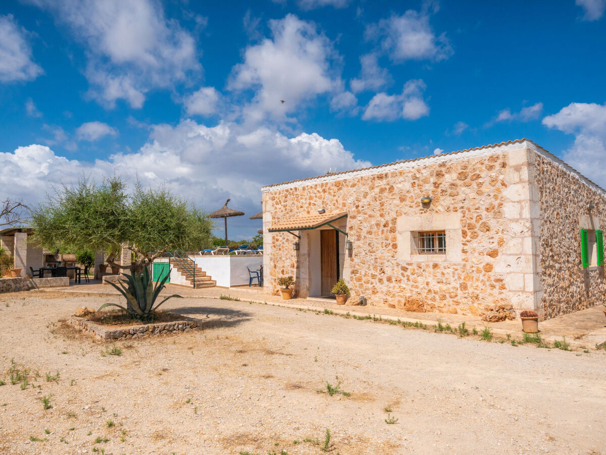 Son Ulari Petit – Maison rustique 4 pers. à Can Picafort - Photo 19