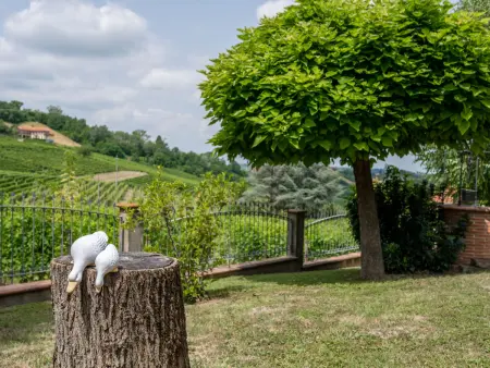 Culla di Stelle, Maison 6 personnes à Calosso - Photo 3