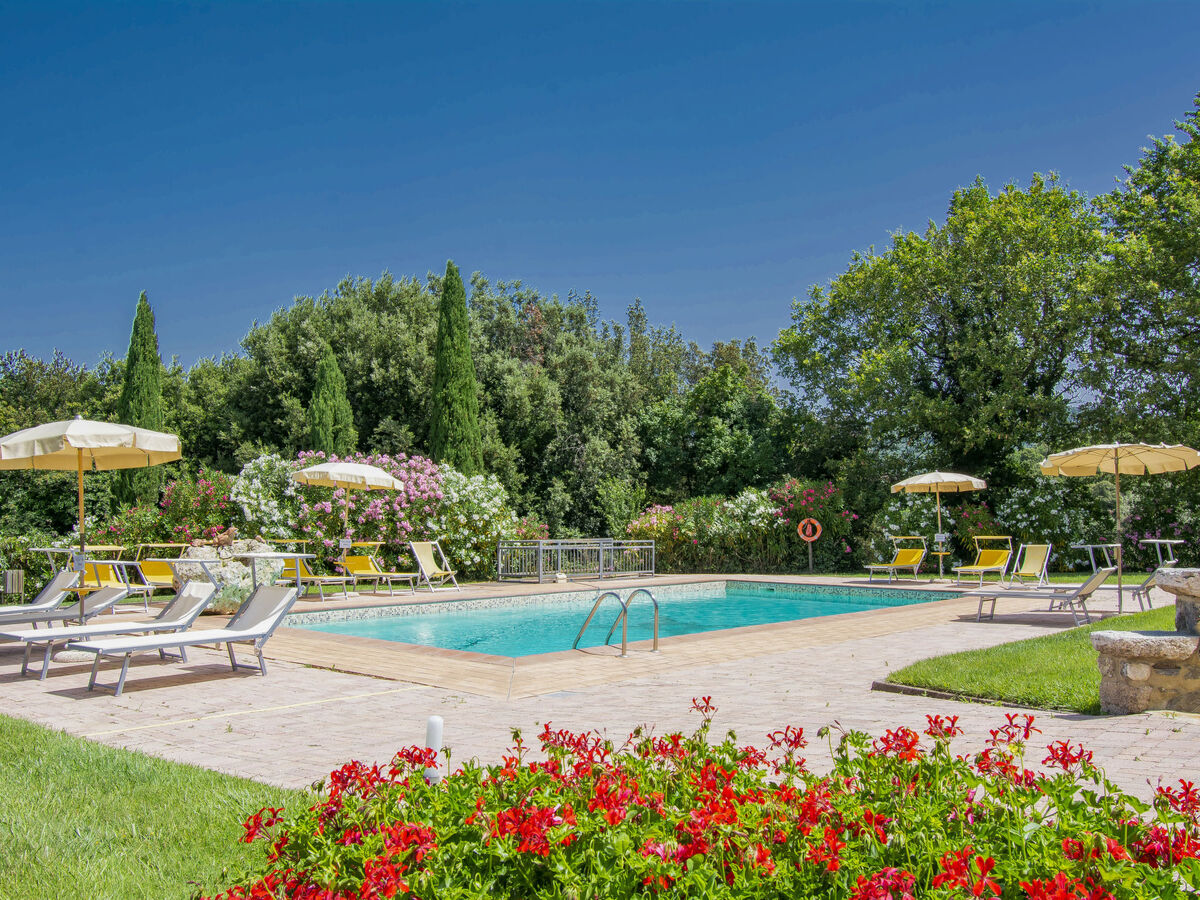 Gîte San Lorenzo, studio 25 m² avec terrasse à Gambassi Terme - Photo 32