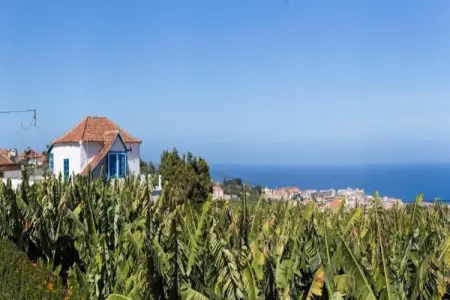 Casita Orotava, Maison troglodyte à Tenerife avec piscine - Photo 38