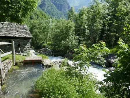 Rustico Fortuna, Chalet 5 personnes à Malvaglia - Photo 30