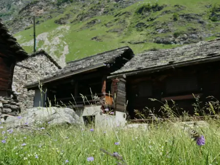 Rustico Fortuna, Chalet 5 personnes à Malvaglia - Photo 34