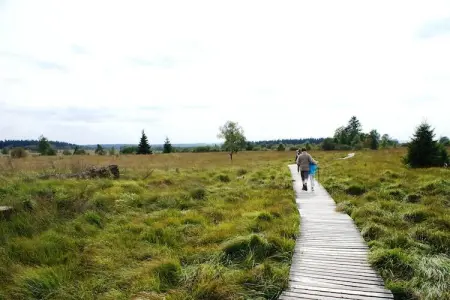 Zevenster, maison 10 pers. avec jardin à Xhoffraix : photo 10
