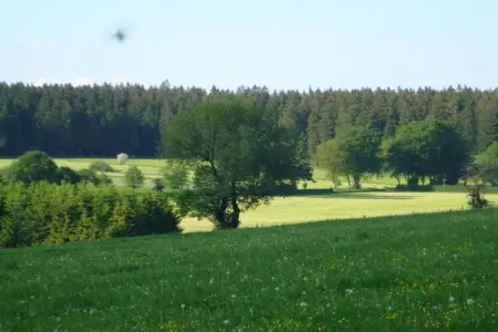 Zevenster, maison 10 pers. avec jardin à Xhoffraix : photo 27
