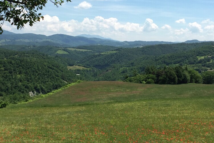 Seriola, gîte de ferme aux Marches avec piscine - Photo 27