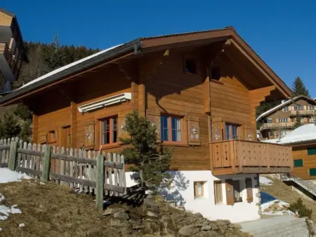 Location appartement de vacances à Riederalp