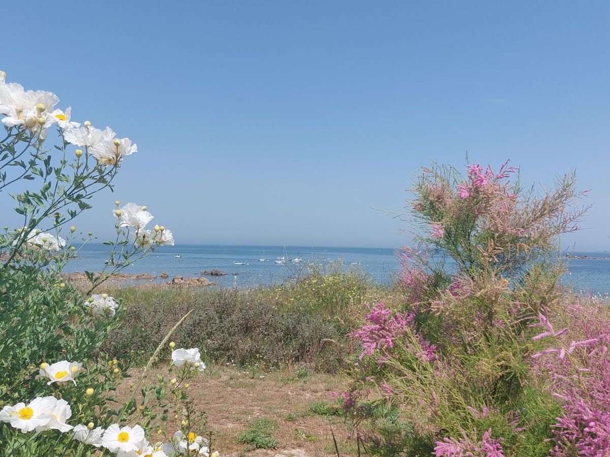 Le Sémaphore, maison 6 pers. à 200 m de la mer - Photo 33
