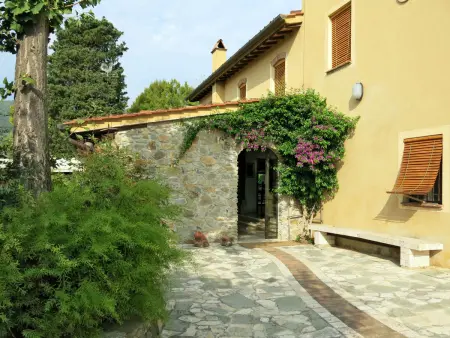 Maestraccio, gîte 9 pers. avec piscine à Buti : photo 31