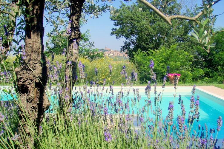 Poggiolino, maison toscane 2 pers. avec piscine - Photo 1