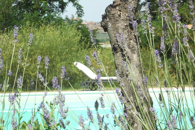 Poggiolino, maison toscane 2 pers. avec piscine - Photo 27