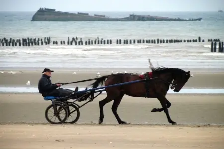 La Boulangerie, gîte 4 personnes à 7 km des plages : photo 20