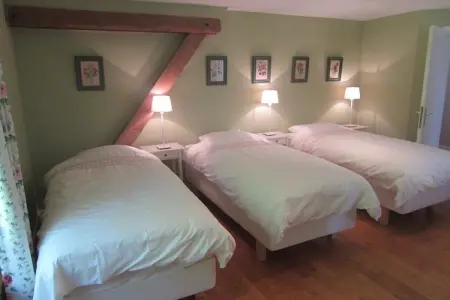 Gîte Offagne - Villa 12 pers. en forêt ardennaise : photo 18