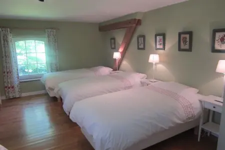 Gîte Offagne - Villa 12 pers. en forêt ardennaise : photo 20