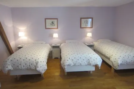 Gîte Offagne - Villa 12 pers. en forêt ardennaise : photo 21