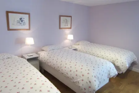 Gîte Offagne - Villa 12 pers. en forêt ardennaise : photo 22