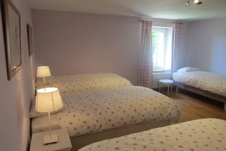 Gîte Offagne - Villa 12 pers. en forêt ardennaise : photo 23