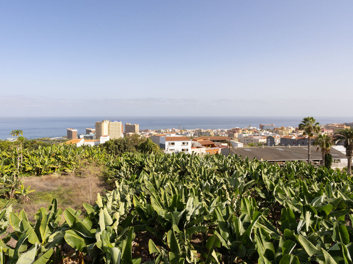 Maison Barreto 200 m² avec terrasses et vue mer - Photo 43