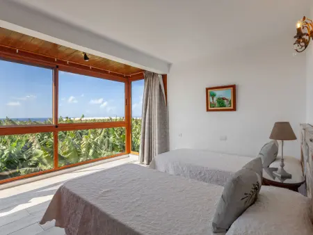 Maison Los Jablitos – vue mer, plantation bio, Fuencaliente : photo 5