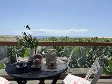 Maison Los Jablitos – vue mer, plantation bio, Fuencaliente : photo 6