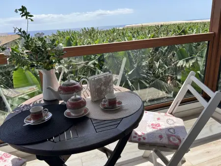 Maison Los Jablitos – vue mer, plantation bio, Fuencaliente : photo 7