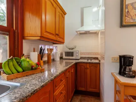 Maison Los Jablitos – vue mer, plantation bio, Fuencaliente : photo 27