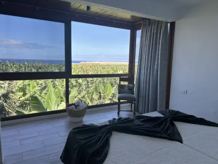 Maison Los Jablitos – vue mer, plantation bio, Fuencaliente : photo 33