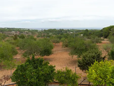 Can Fulgencio II, Maison 5 personnes à Sant Carles Peralta - Photo 27