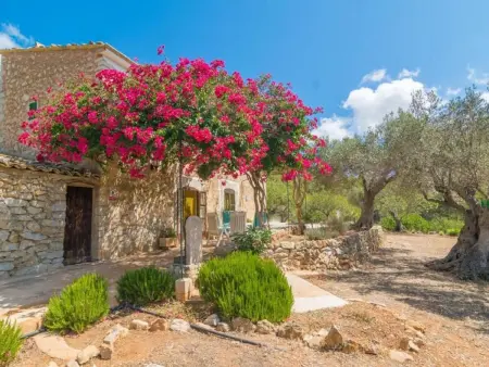 Maison Can Tiona à Andratx, vue sur les montagnes : photo 2