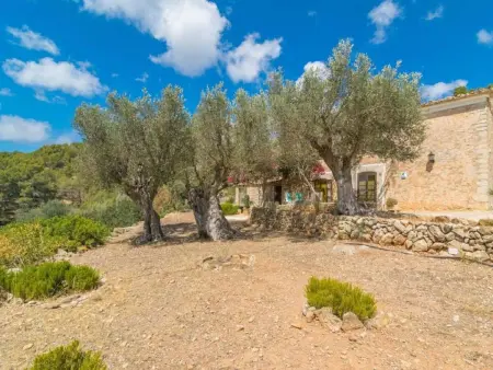 Maison Can Tiona à Andratx, vue sur les montagnes : photo 25