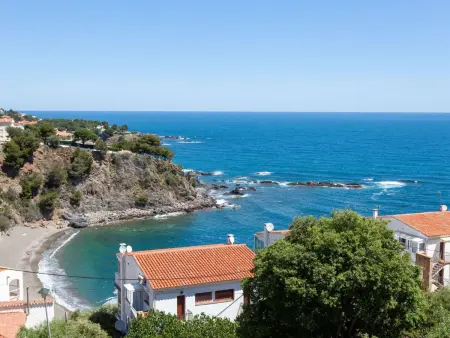 Les Oranetes - Appartement 2 pièces vue mer à Llançà : photo 18