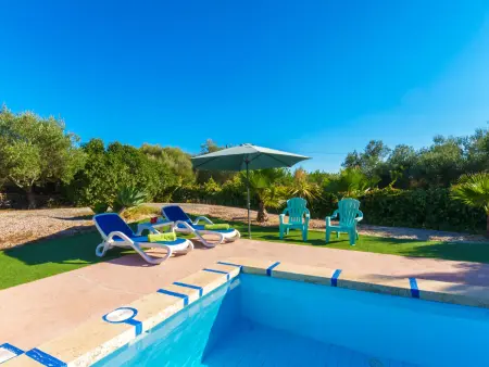 Maison Estrella, piscine et verger à Sant Llorenç des Cardassar : photo 19