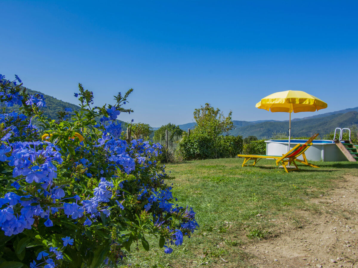 Il Poderino – Maison 5 pers. vue panoramique Dicomano - Photo 9