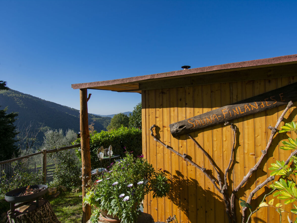 Il Poderino – Maison 5 pers. vue panoramique Dicomano - Photo 28
