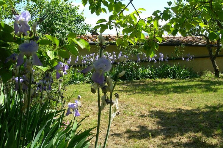 Cennini – Maison 4 pers. à 1 km de la forêt - Photo 23