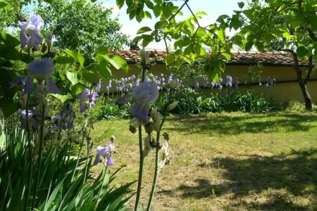 Cennini – Maison 4 pers. à 1 km de la forêt : photo 23