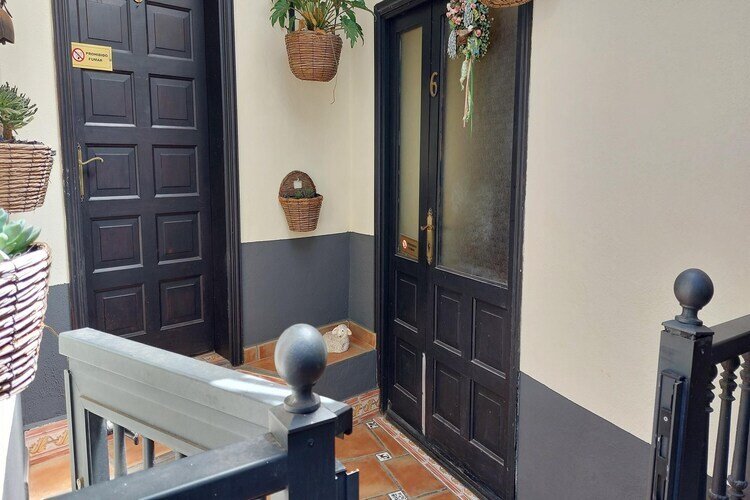 Gîte indépendant piscine privée à Icod de los Vinos - Photo 10
