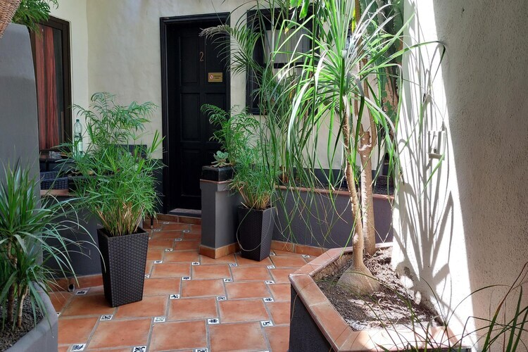 Gîte indépendant piscine privée à Icod de los Vinos - Photo 18