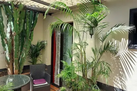 Gîte indépendant piscine privée à Icod de los Vinos : photo 6